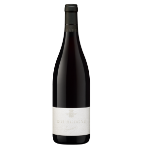 Domaine Trapet - Bourgogne rouge 2022