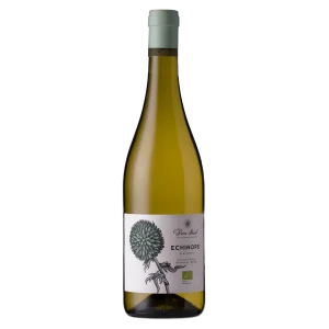 Dom Brial - Côtes Catalanes - Echinops blanc 2024