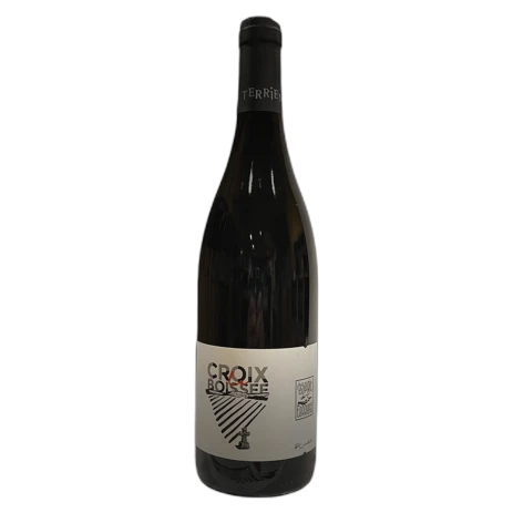 Domaine Beatrice et Pascal Lambert - Chinon - La Croix Boissée 2018 Magnum