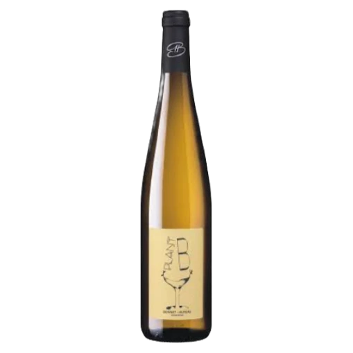 Domaine Bonnet-Huteau - Plant B 2024