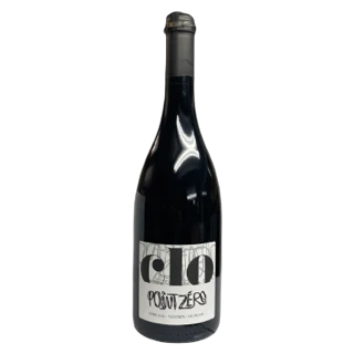 Domaine Clo Cyril Leau - Saumur Puy-notre-dame - Point Zéro - 2020