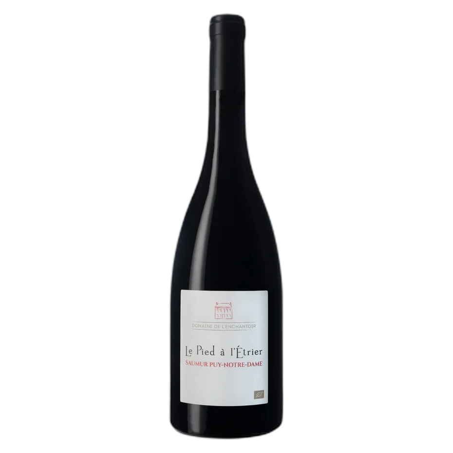 Domaine de l'Enchantoir - Saumur-Puy-Notre Dame Le Pied À L'étrier 2020