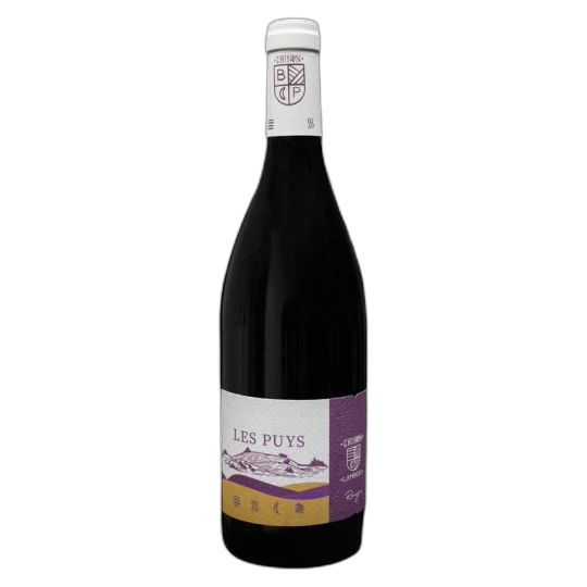 Domaine Lambert - Chinon Les Puys 2022