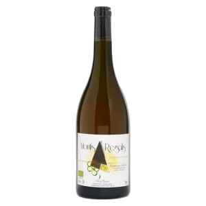Dominique Andiran - Montis Regalis 2020