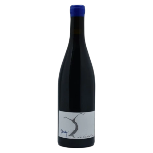 Terres d'Ocre - Amphore Gamay - 2023
