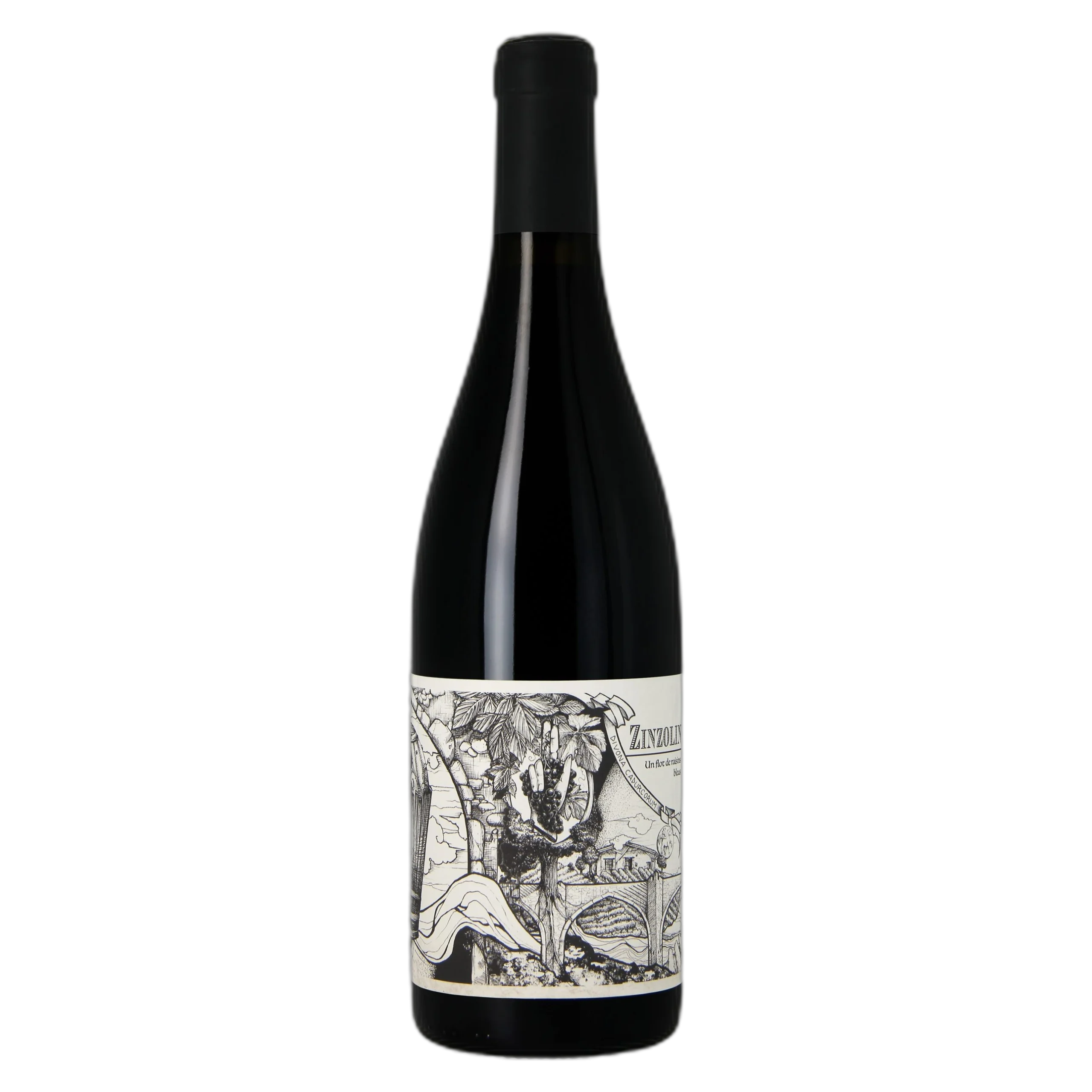 Valérie Courrèges - Vin de France Zinzolin 2021