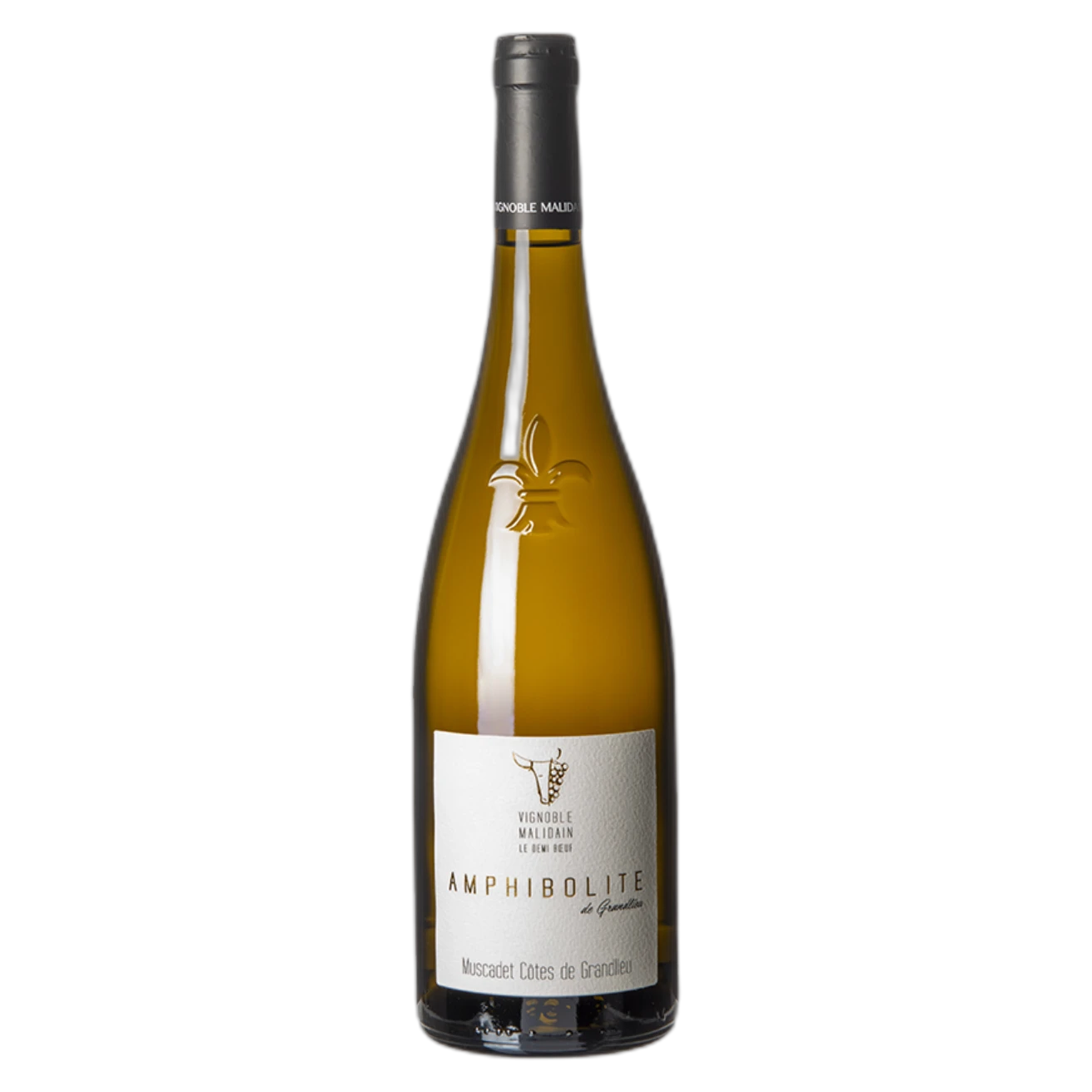 Vignoble Malidain - Muscadet Côtes De Grandlieu Amphibolite 2018