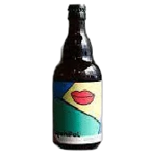 Archipel - Kombucha aux feuilles de Figuier