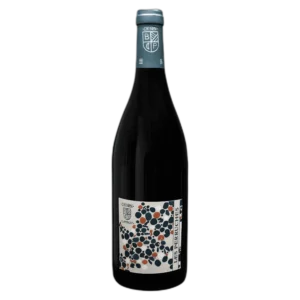 Pascal Lambert - Chinon - Les Perruches - 2021 - Magnum